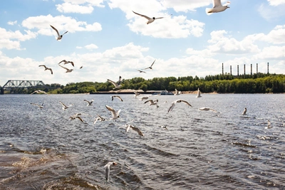 26 апреля в Иркутске: солнце и дождь
