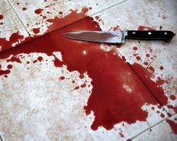 На Урале направлено в суд дело мясника, зарезавшего 13-летнюю девочку | www.e1.ru