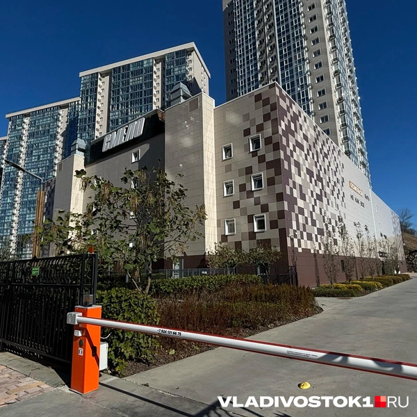 Источник: Елена Буйвол / VLADIVOSTOK1.RU