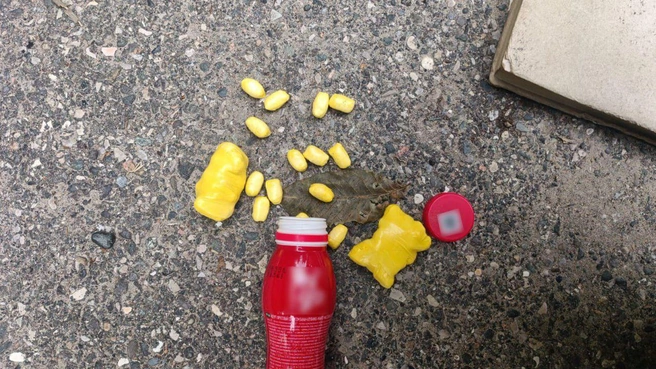 Ставропольчанка пыталась спрятать наркотики в бутылку из-под йогурта | Источник: «Полиция Пятигорска» / Telegram