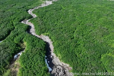 На Камчатке создали штаб для помощи туристам у Толбачика