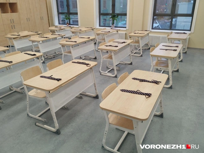 Источник: Дмитрий Волгин / Voronezh1.ru