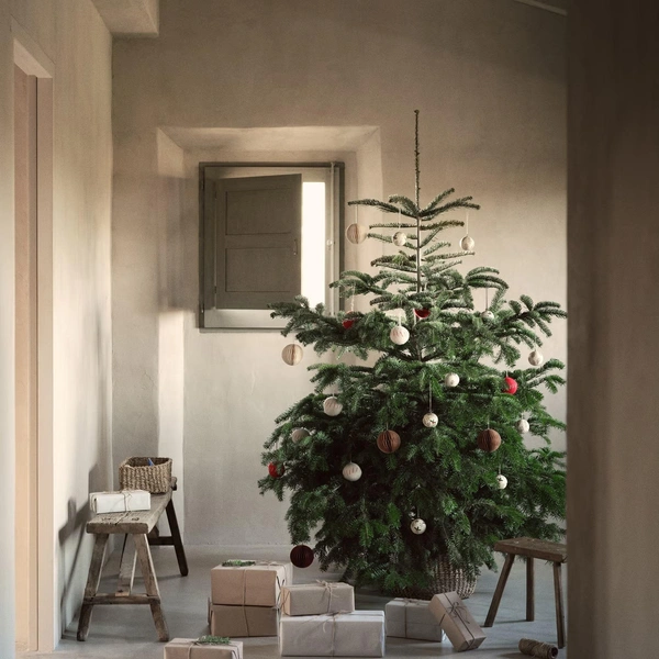 Источник: Mango Home