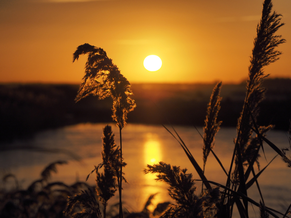 Гороскоп для успешных женщин c 2 по 8 августа | marieclaire.ru