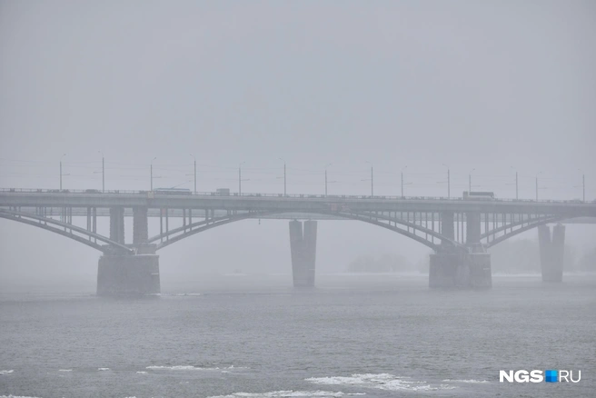 Снег закончится в понедельник, 10 ноября. Тогда же придет похолодание  | Источник: Александр Ощепков / NGS.RU