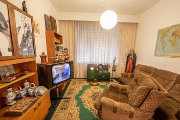 Музеи, шаржи и котики: чем заняться в Москве 14–20 ноября