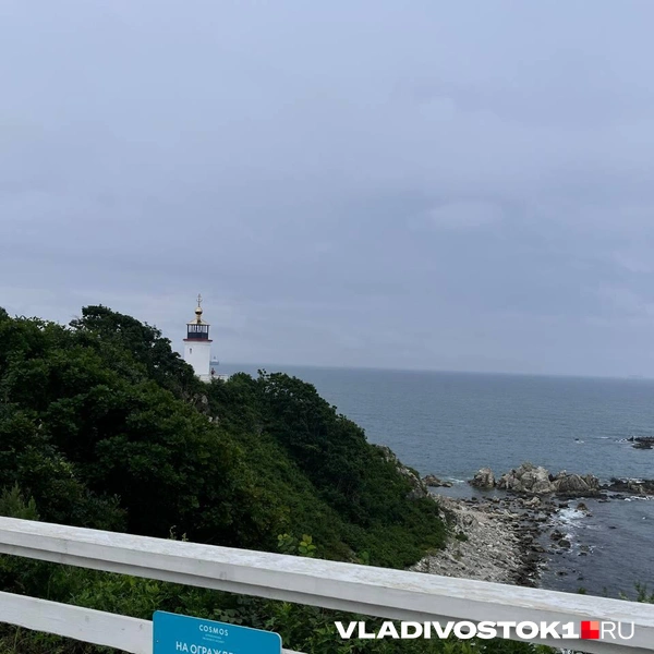 Источник: Алиса Князева / VLADIVOSTOK1.RU