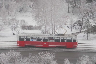 Omsk transport quiz: ghost stops and record trolleybuses