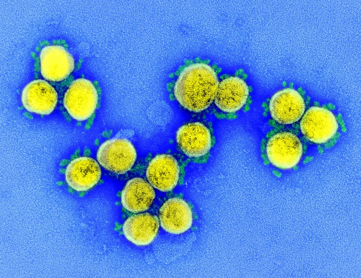 Вакцина от коронавируса испытана на людях