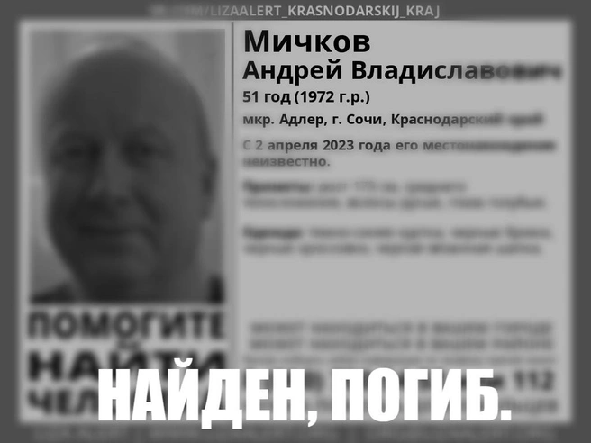 Источник: «ЛизаАлерт»