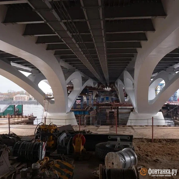 Источник: Сергей Николаев / «Фонтанка.ру»