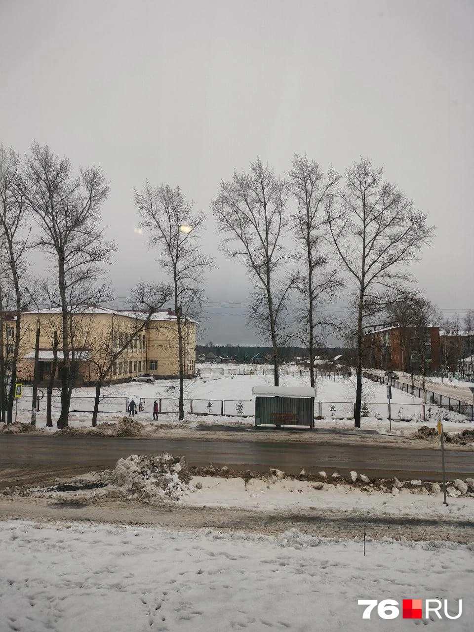 В Вологодской области снежок есть, правда, он стремительно тает | Источник: читатель 76.RU