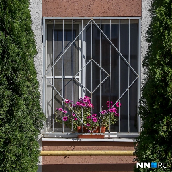 Во всём квартале много клумб и цветов | Источник: Наталья Бурухина / NN.RU