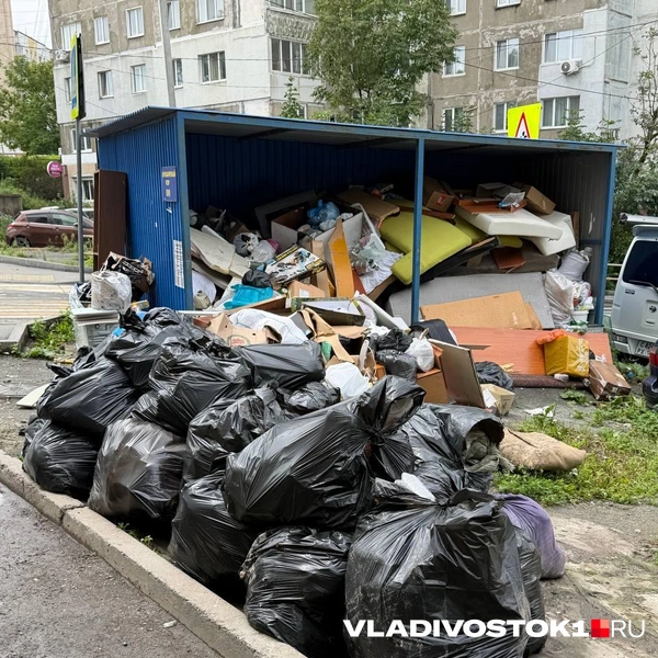 Источник: Читательница VLADIVOSTOK1.RU