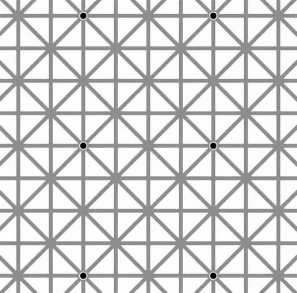 Оптическая иллюзия: когда картинка от вас прячется | Источник: соцсети