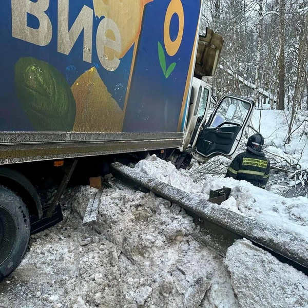 Источник: Скорая помощь Ленобласти