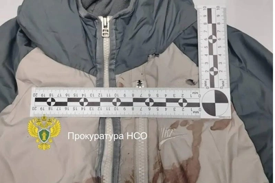 Житель Бердска предстанет перед судом за стрельбу из травматического пистолета