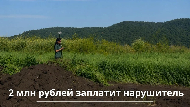 Нарушитель заплатит 1,9 млн за порчу почвы | Источник: tatarstan.ru