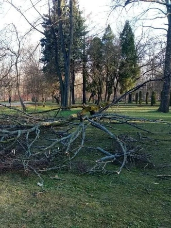 Источник: Комитет по благоустройству Петербурга
