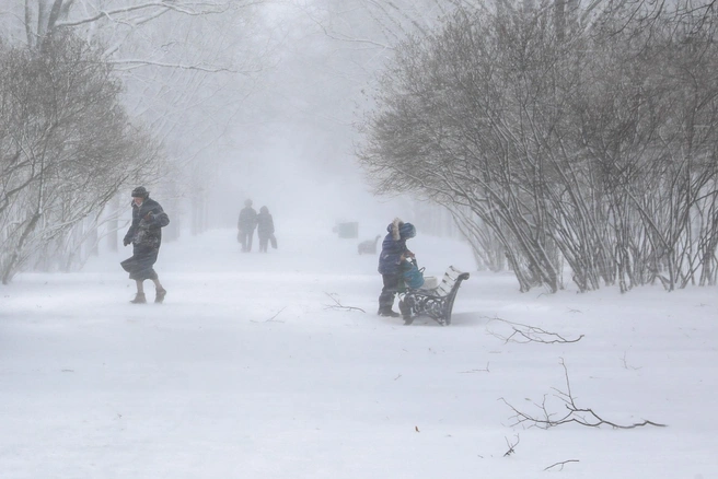 Также ожидается усиление ветра | Источник: Сергей Коньков / FONTANKA.RU
