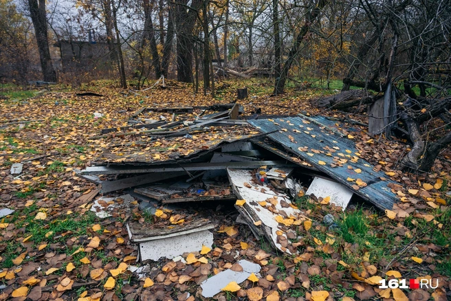 Источник: Евгений Вдовин / 161.RU