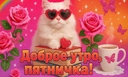 Открытки «С пятницей»: 20 прикольных напоминаний о завершении рабочей недели