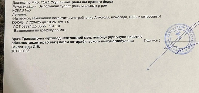 Она сразу обратилась в медпункт | Источник: читатель 74.RU