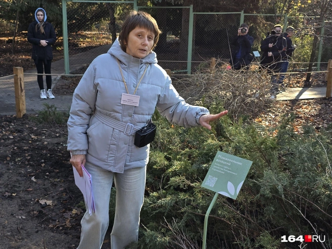 Любовь Катроша рассказала об антисептических свойствах можжевельника | Источник: Семен Коротов-Майбах / 164.RU