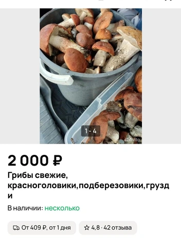 Цена в объявлении указана за 10-литровое ведро | Источник: Avito.ru