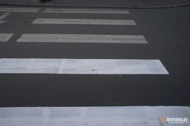 Рассказываем, что сказал Лебедев | Источник: Михаил Огнев / FONTANKA.RU