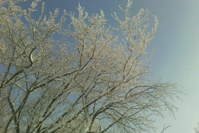 Спасатели советуют ульяновцам, как пережить морозы