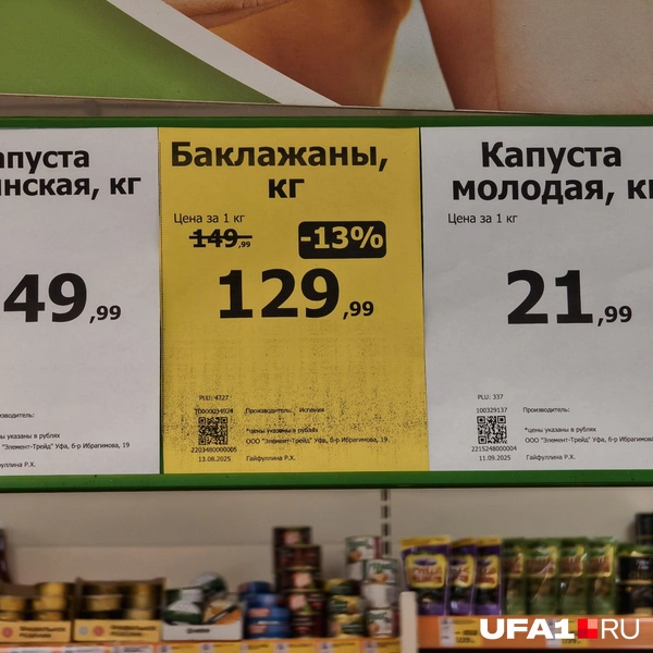 Источник: Булат Салихов / UFA1.RU