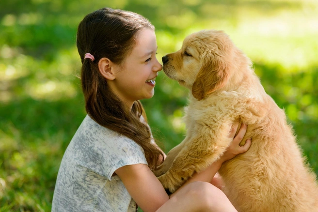 Источник: shutterstock.com
