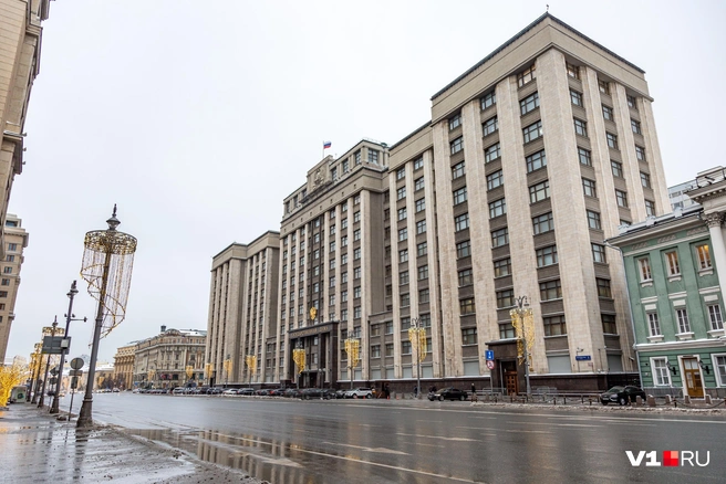 Депутаты Госдумы регулярно выступают с предложениями улучшить жизнь населению так, как они это воспринимают | Источник: Константин Завриков / V1.RU