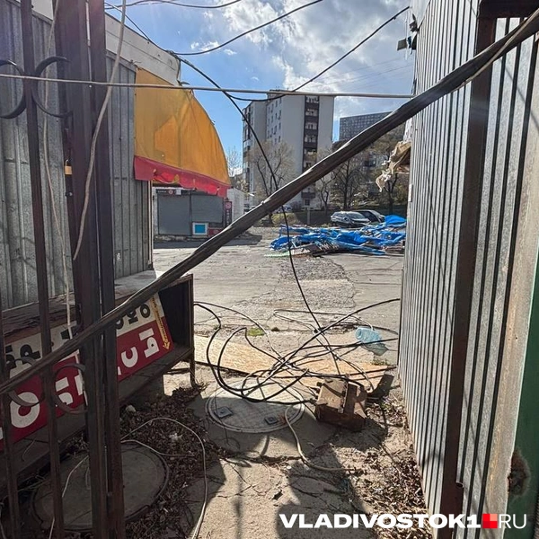 Источник: Елена Буйвол / VLADIVOSTOK1.RU