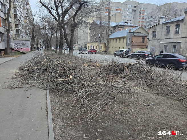 Улица Рабочая, между Чапаева и Рахова | Источник: Семен Коротов-Майбах / 164.RU