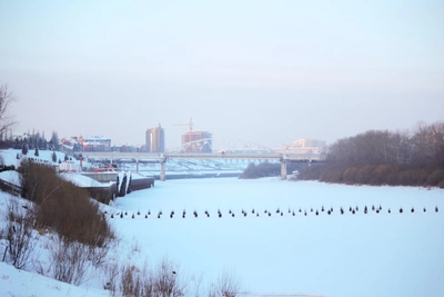 Almost the entire Tura River embankment could become a pedestrian zone