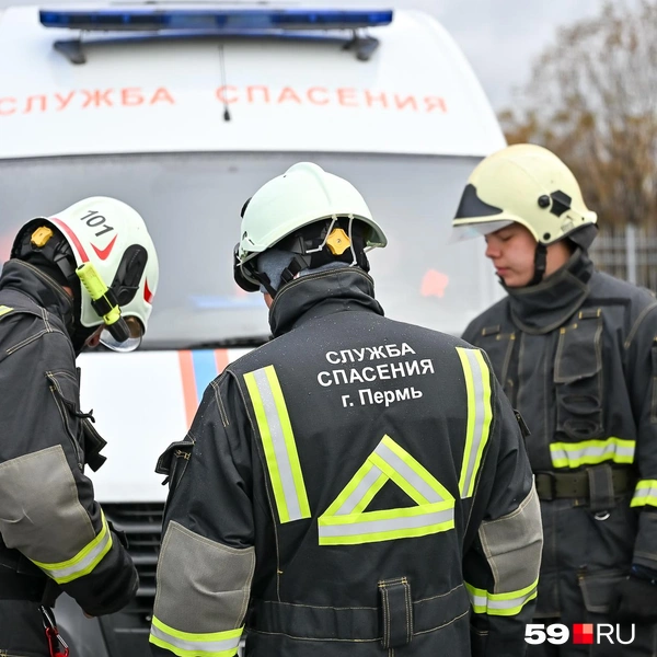 Источник: Василина Любимова / 59.RU