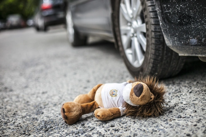 Водитель нарушил 23 раза и в итоге сбил ребёнка на Приморском шоссе | Источник: Татьяна Фатеева / NGS.RU