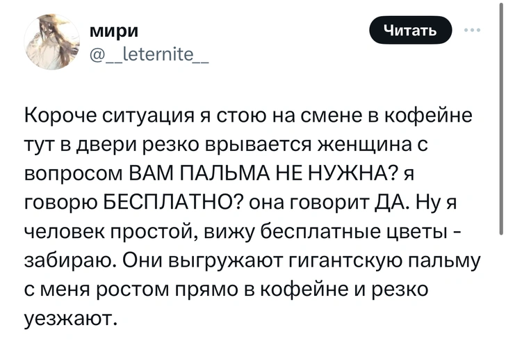 Шутки понедельника и палаванский вонючий барсук