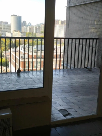 Голуби сидят на балконе здания | Источник: Мария ресторанный критик / «Яндекс Карты»