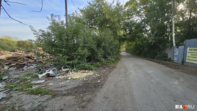 Старт самой стройки теперь затянется | Источник: Даниил Румянцев / E1.RU