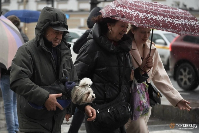 Петербург под дождем и ветром. Горожане спасаются от непогоды зонтами и капюшонами | Источник: Павел Даиси / «Фонтанка.ру»