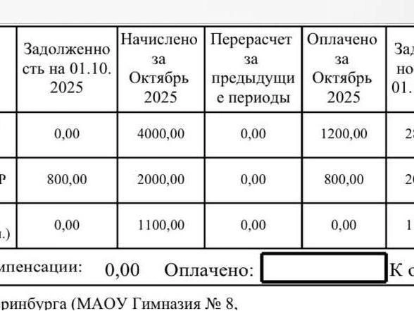 Жительница Екатеринбурга продемонстрировала суммы, которые тратит на дополнительные занятия в школе | Источник: читательница E1.RU