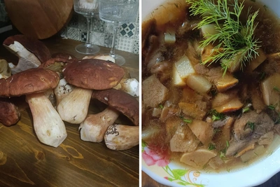 Как сварить архангельскую грибовницу и запасти ее на зиму