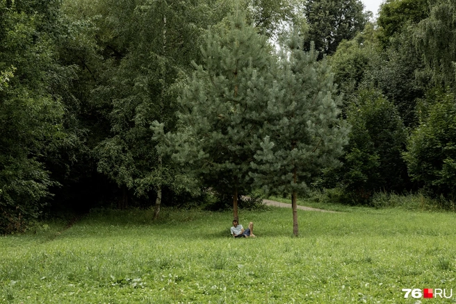 Местный житель удобно устроился под деревом | Источник: Александр Куренной / 76.RU