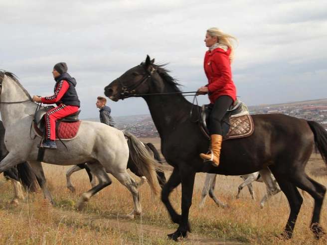 Обзор всех возможностей для конных прогулок | Источник: 124horse.ru