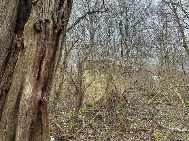 Развалины дома или сарая Виктора Баранова | Источник: Габриелла Захарова / 26.RU