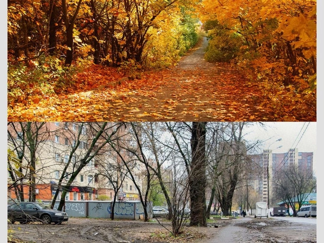 Октябрь с такими пейзажами не за горами | Источник: Городские медиа