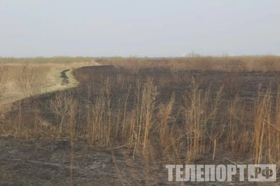 В Амурской области за сутки зафиксированы 22 термические аномалии